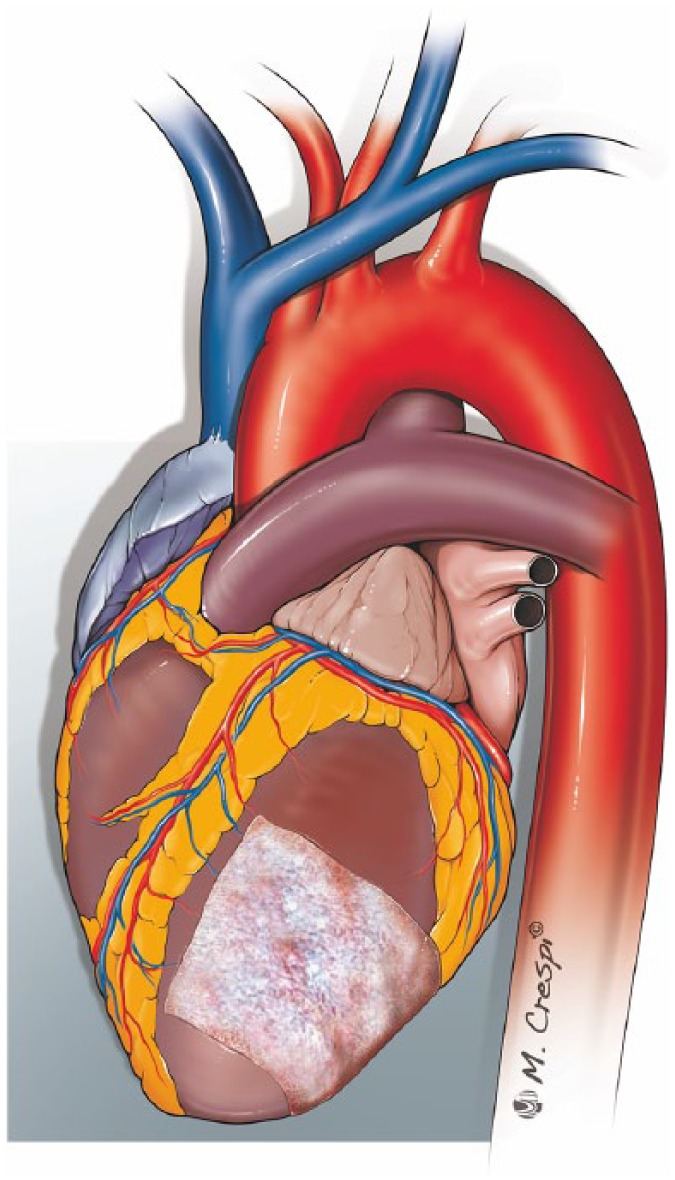 Figure 7.