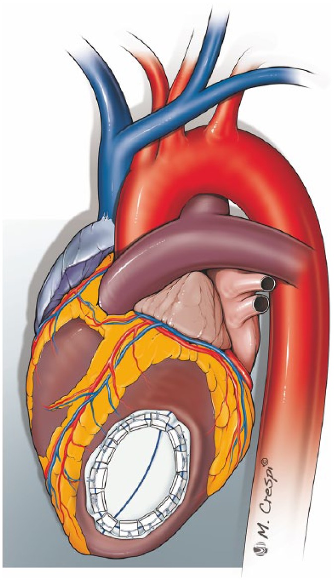 Figure 5.