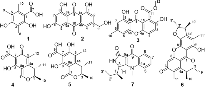 Figure 9