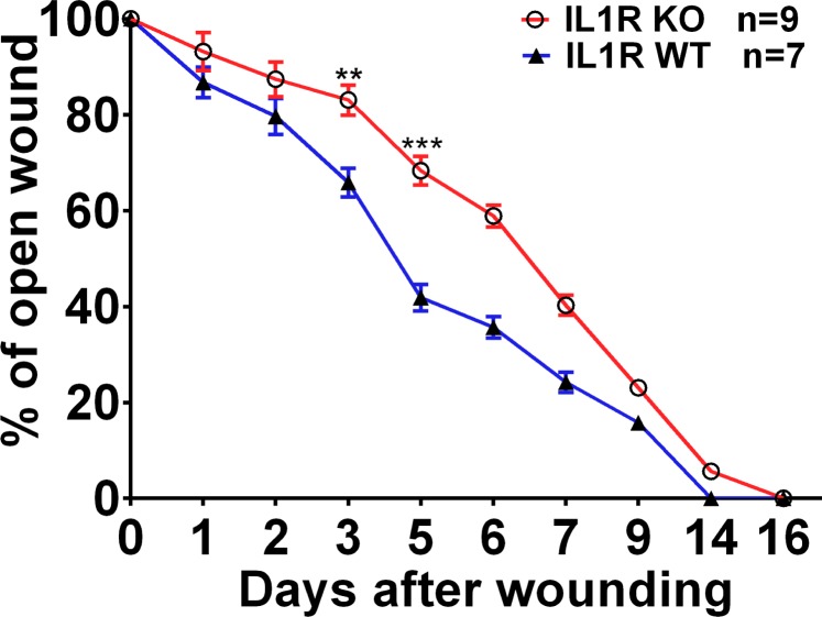 Figure 1—figure supplement 1.