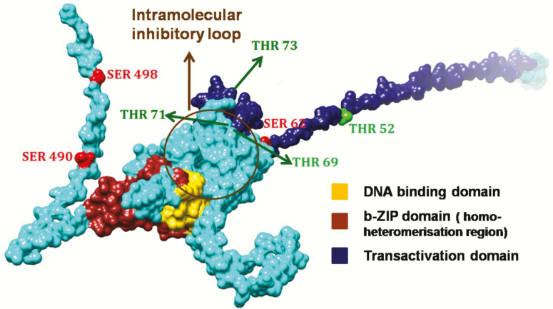 Figure 2.