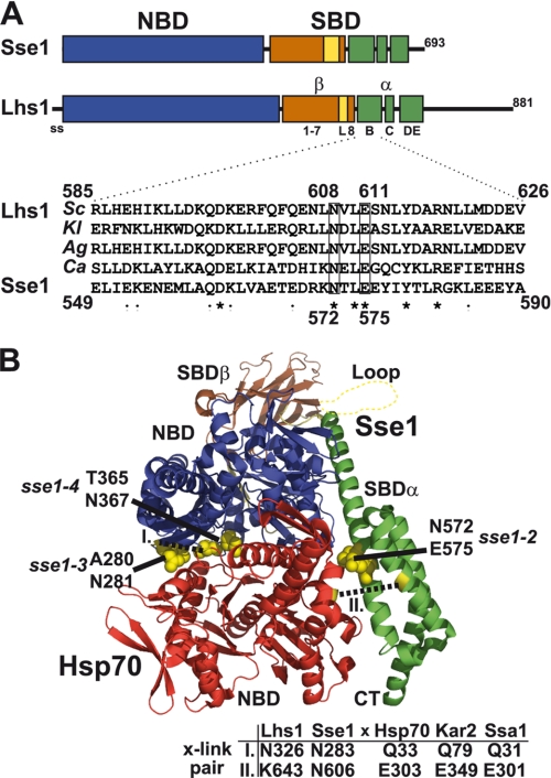 FIGURE 1.