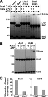 FIGURE 4.