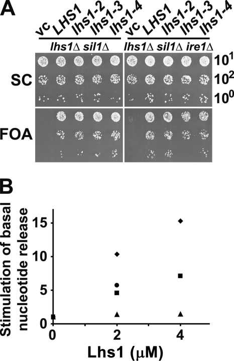 FIGURE 2.