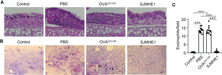 Figure 3