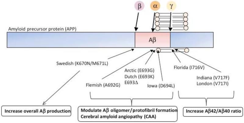 Fig. (1)