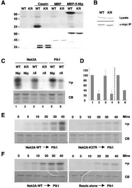 FIG. 9.