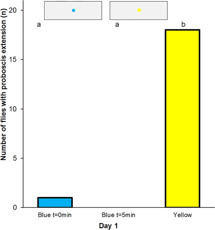 Fig 5