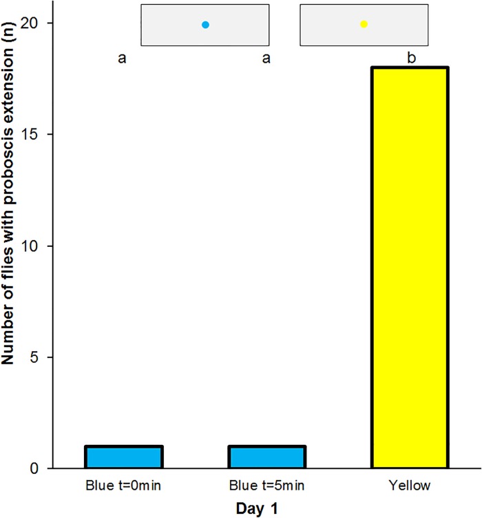 Fig 7