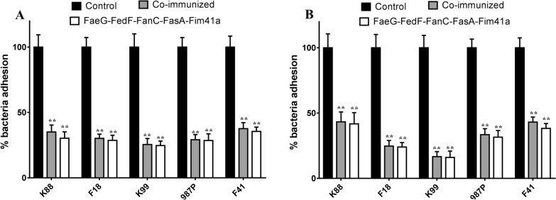 Figure 5