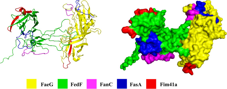 Figure 2