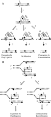 Figure 5.