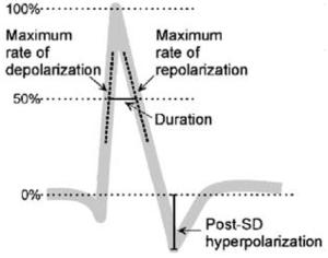 graphic file with name ukmss-2706-t0004.jpg