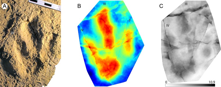 Figure 5