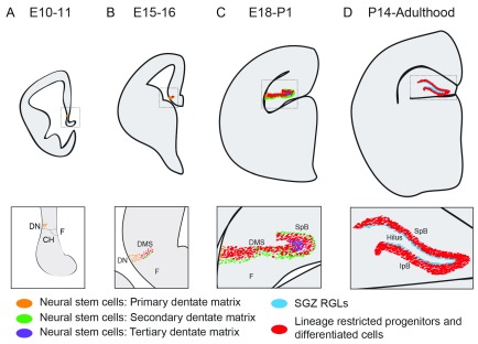 Figure 3. 