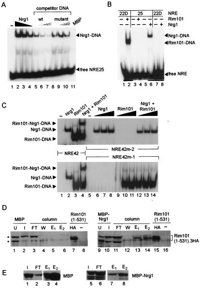 FIG. 6.