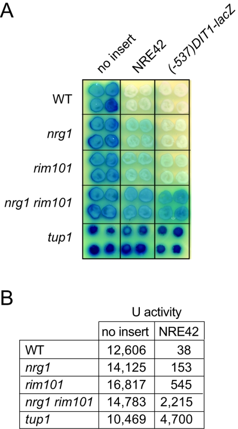 FIG. 7.