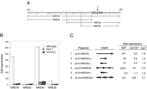 FIG. 1.