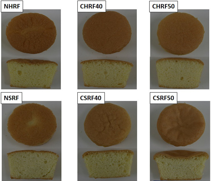 Fig. 3