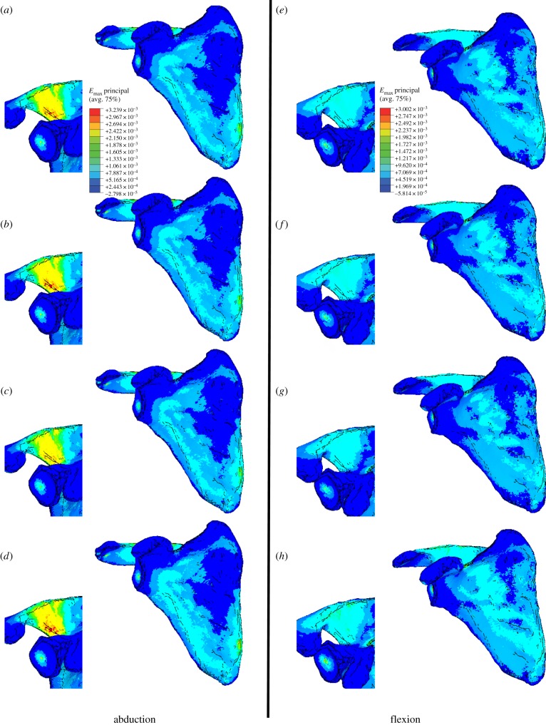 Figure 2.