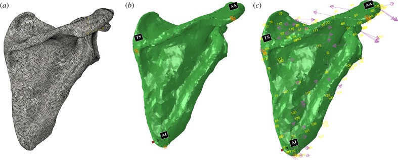 Figure 1.