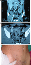 Fig. 4