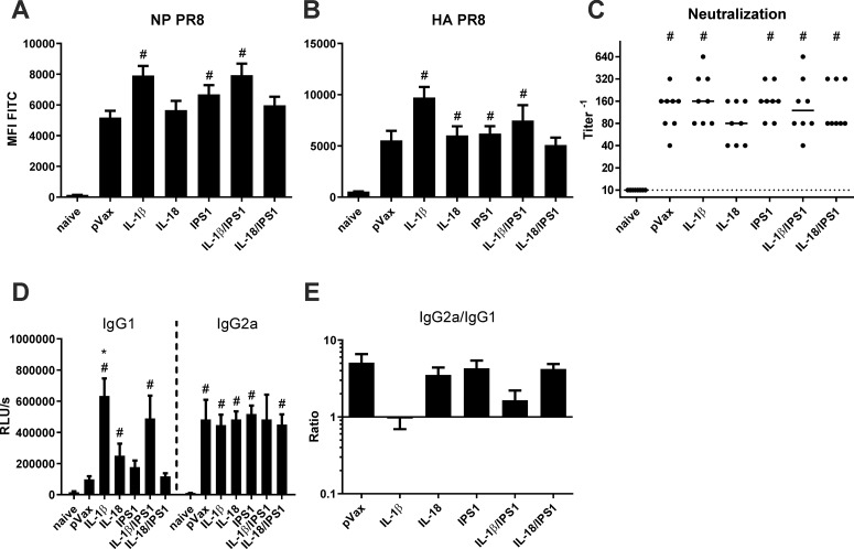 Fig 6