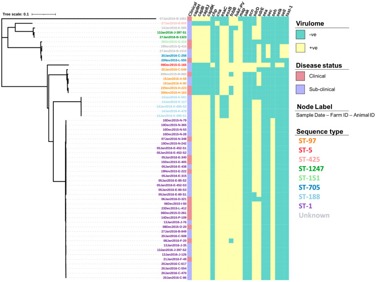 Figure 4