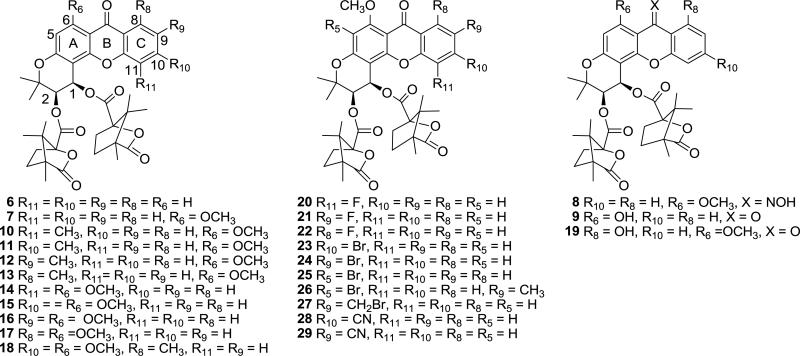 Fig. 2