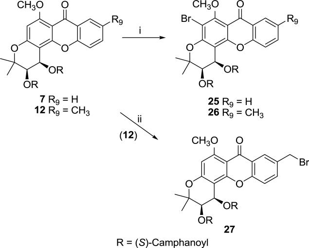 Scheme 4