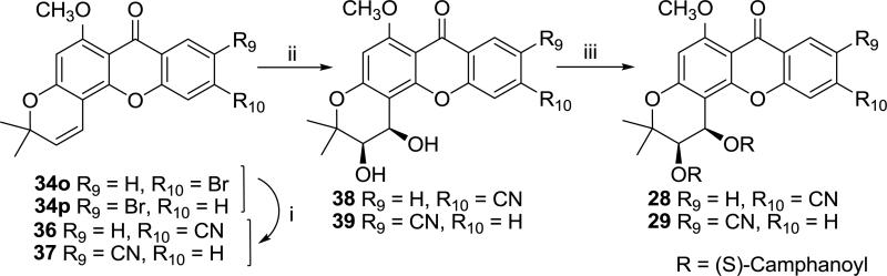 Scheme 5