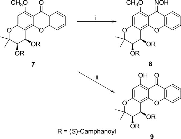 Scheme 3