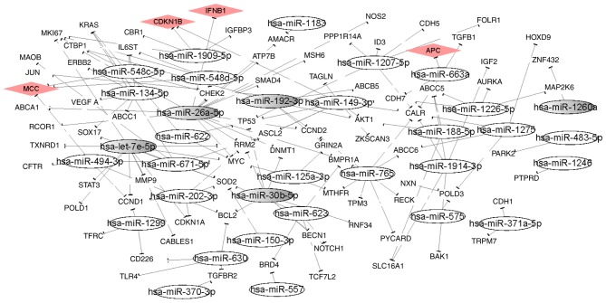 Figure 4.