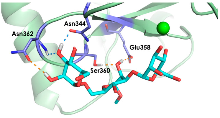 Figure 5