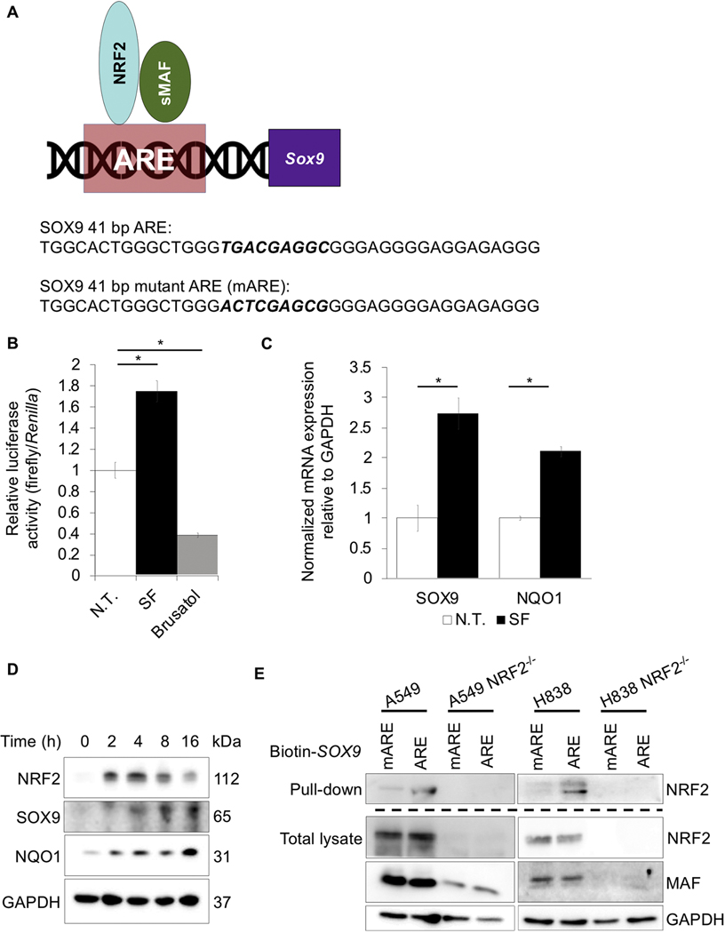 Figure 2: