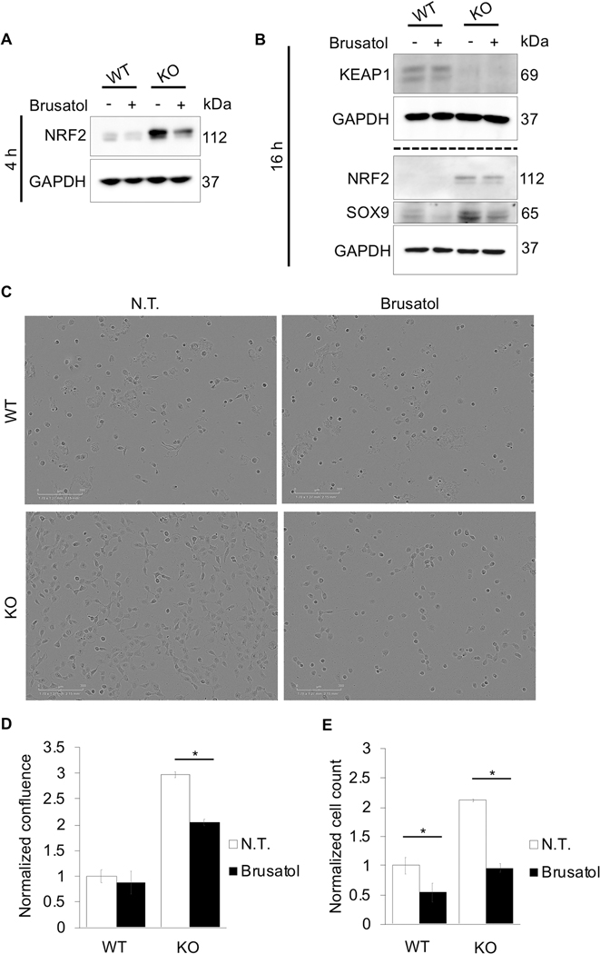 Figure 3: