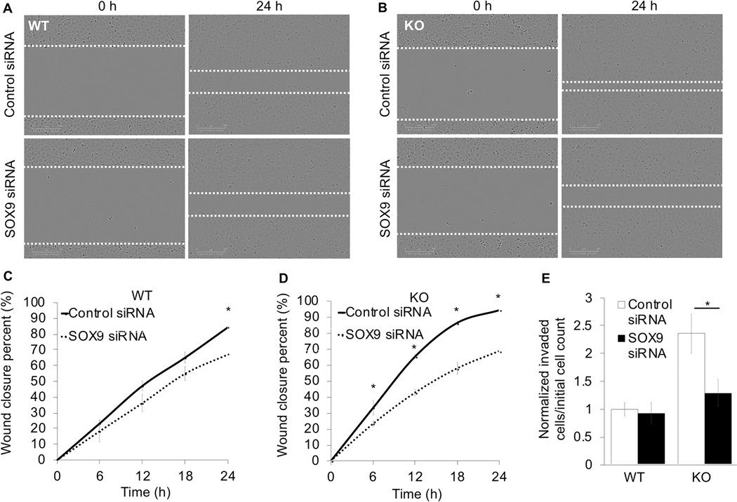 Figure 6: