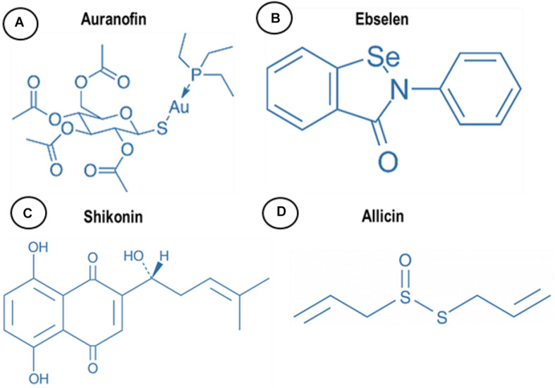 FIGURE 2