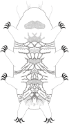 Fig. 25.