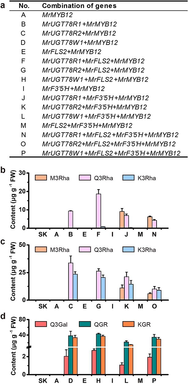 Figure 6