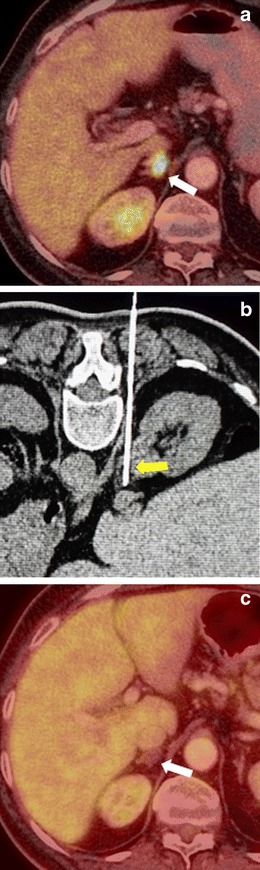 Fig. 8