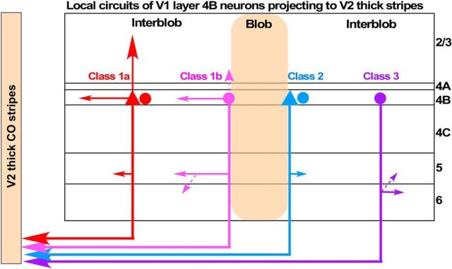 Figure 10.