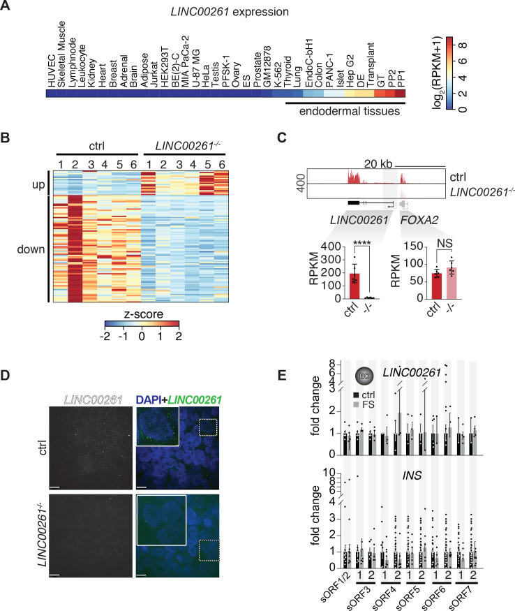 Figure 4—figure supplement 1.