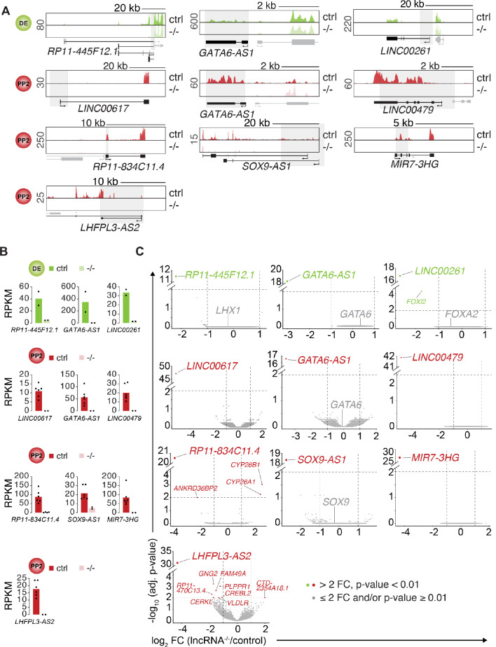 Figure 3—figure supplement 1.