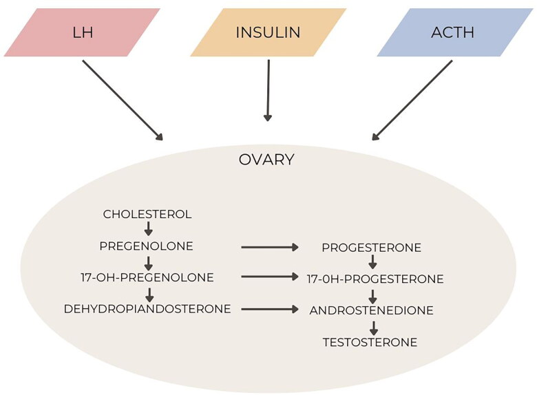 Figure 1.