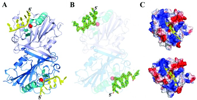 Figure 2.