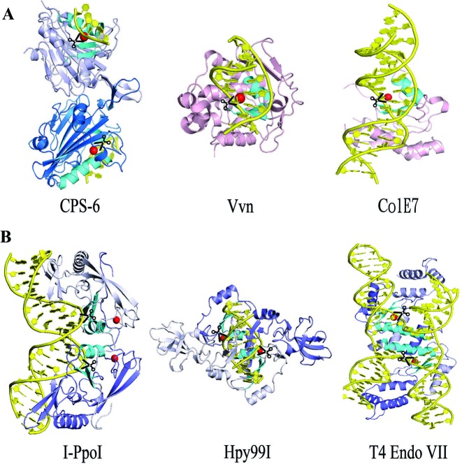 Figure 6.