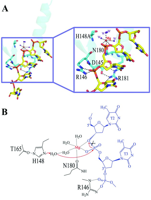 Figure 4.