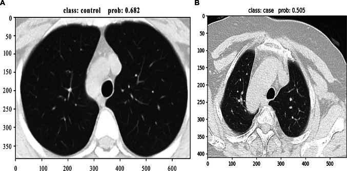 Fig. 5