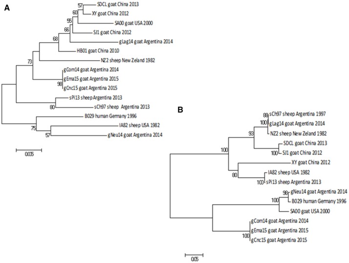 Figure 6